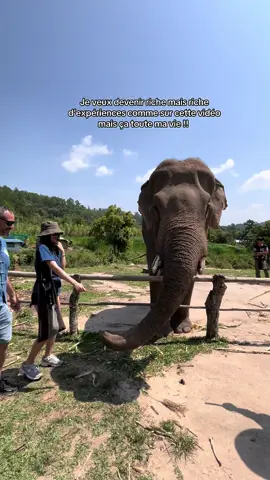 Oui j’avais peur mdrrr !! 🤣🤣#experiences #thailandes #riche 
