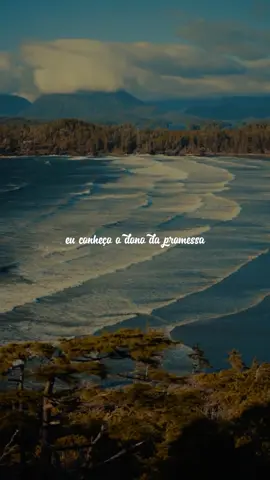 Eu conheço o dono da promessa 🤍✝️🥺 . #hinosevangelicos #louvoresgospel #lyricsgospel #louvores #Louvor 