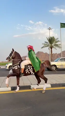 ♥️♥️♥️💚💚💚🇸🇦🇸🇦🇸🇦