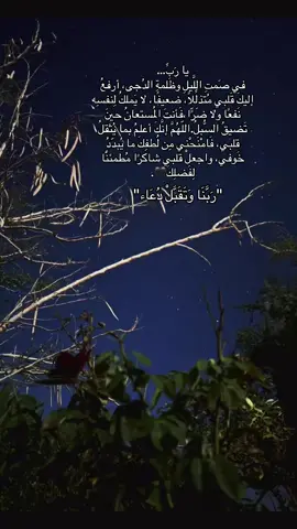 #CapCut #تلاوه_خاشعه #سعود_الفايز #الوتر 