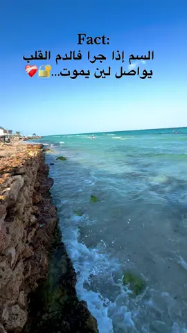 #شعب_الصيني_ماله_حل😂😂 #Love #tik_tok 