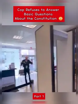 #cops #audit #auditzone #copsoftiktok 