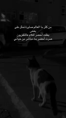 #اميرة_برج_السرطان #fypviralシ゚viral #fouryou #اكسبلورexplore 