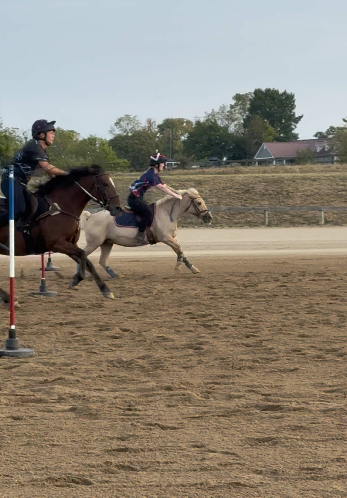 Love this little pony so so much! #firefly #usmga #mga #mountedgames #ponygames #vault #vaulting 