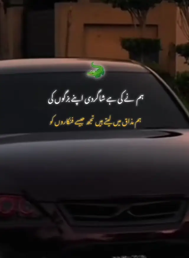 #different #zindagi #only #tiktokpage 