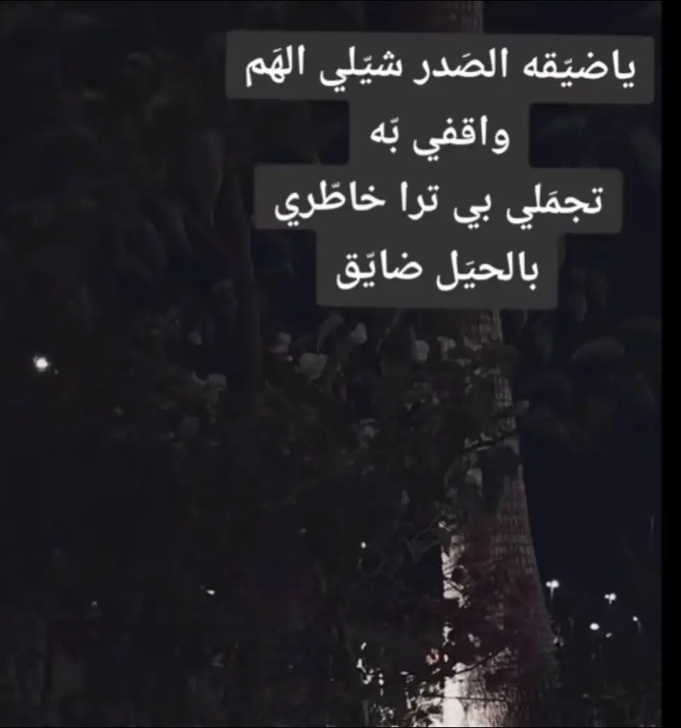 #الشمريه💕 