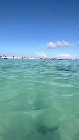 #fatimasegovia #lachuecona #1delperu #peruana 