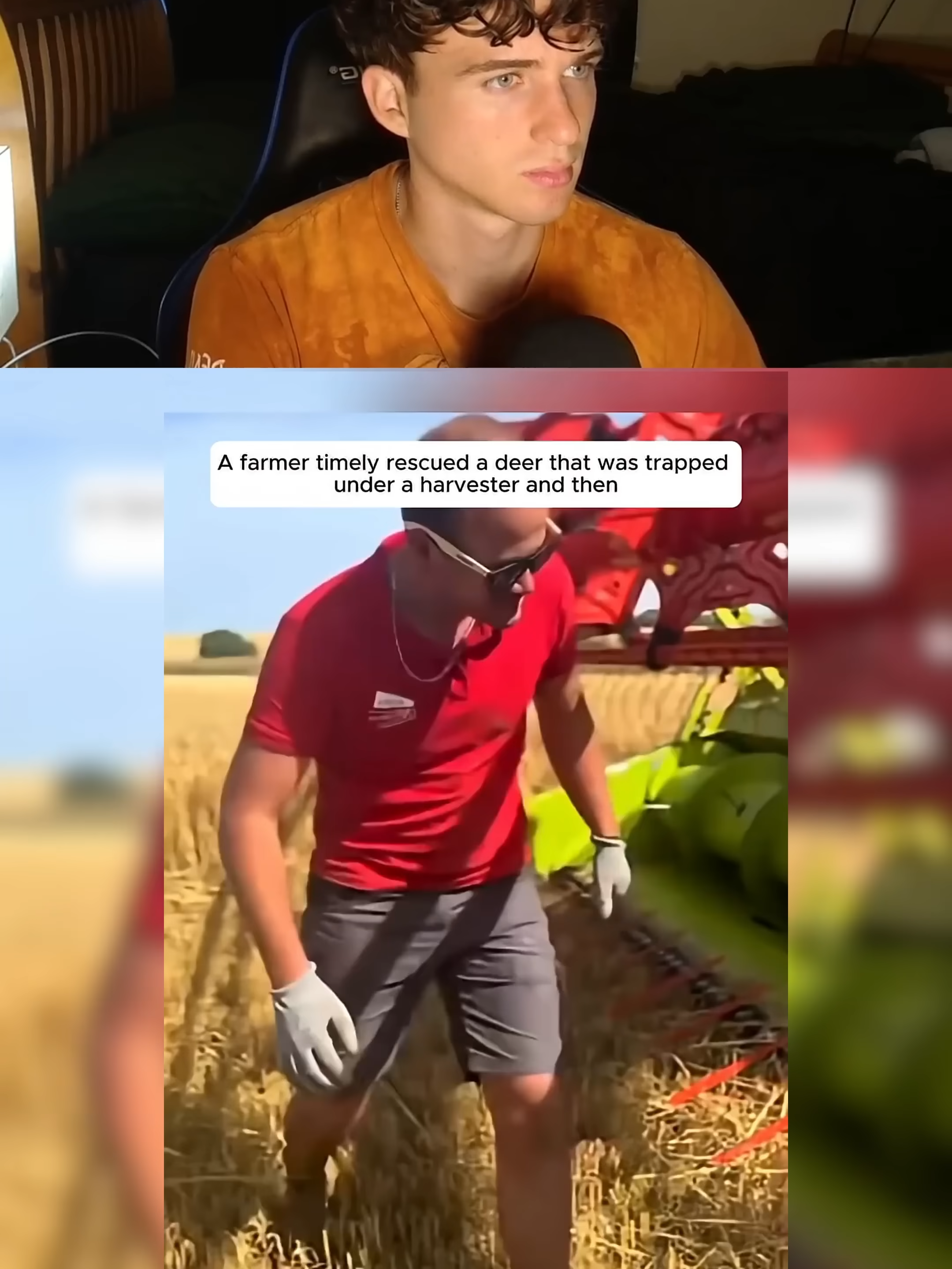 they rescued this deer ❤️ #hurly  #deer #animals  #wholesome  #happy  #cute