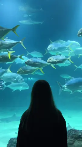 2021 #аквариум #sqwore #eve 