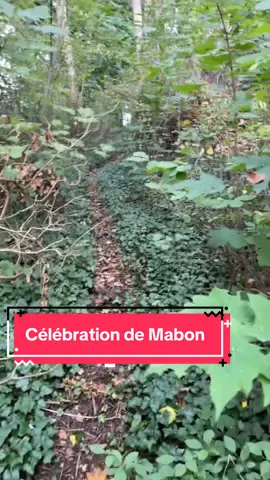 Petit aperçu de ma célébration du sabbat de Mabon ce 22/09 pour l’arrivée de l’automne ✨🍂  (pour info mon domovoï est toujours en cours de création, je vous montrerai le résultat bientôt 😉)#sorcellerie #sorciere #witchtok #witch #sabbat 