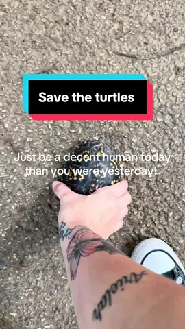 Why does my van sound like a Diseal? #savetheturtles #nature #vanlife #respect #LifeHack 