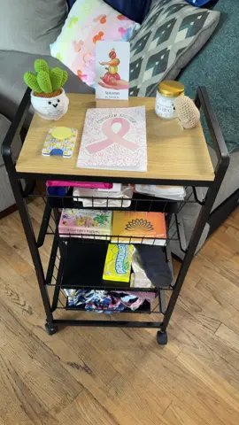 So after getting the kids a snack cart I thought to my self that might come in handy for on chemo days so that I can have all I need in one spot. The main purpose it to keep my meds handy and organized. What do you guys think of my idea ? Should we give her a name? I don’t know why I want to call her sheila. #breastcancerwarrior💕 #chemotherapy #chemo #breastiesforever🎀 #breastcancer 