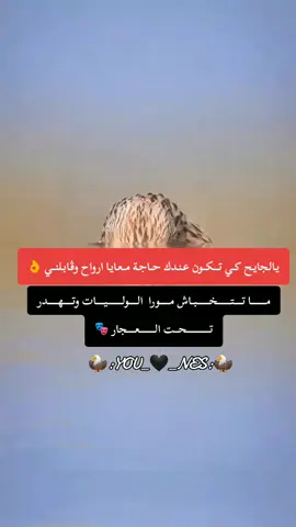 #شرات_و_معاني_تخليك_تعاني #مشاهدات_تيك_توك #شعب_الصيني_ماله_حل😂😂 #لايك__explore__ #fyppppppppppppppppppppppp 