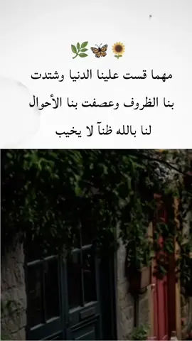 🌻🦋🌿#اكسبلور #فولوو #ليك #تعليق #دعمكم -وتشجيعكم -حتا-يصلك -كل جديد 