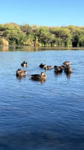 #fdt #fck #southpark 