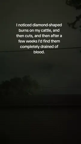 Only 38 days until Halloween! Anyone get raptured today? what was your experience? did you come back willingly or did you get kicked out because you like Naruto too much? #Halloween #scary #horrortok 