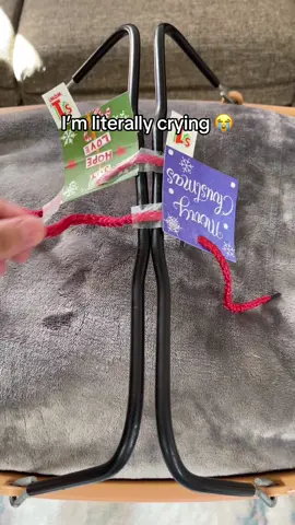 Wait for the end😭😭 #toastyhoody #tiktokmademebuyit #pets #dogs #usa #doglover #dogmom 