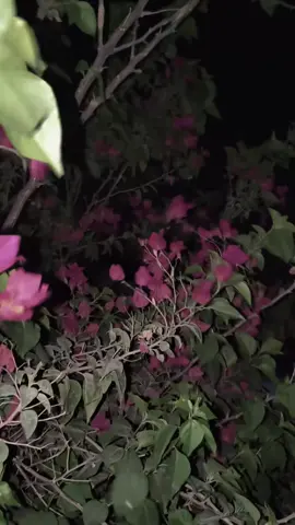 ذكرياااات🥹🥹💔