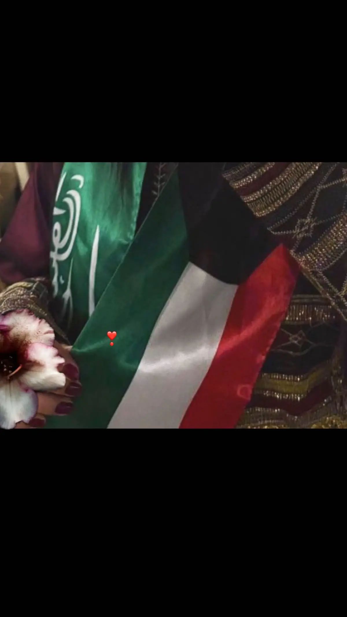 #الكويت🇰🇼 #السعودية #fyp #اكسبلور #اكسبلور #explore #اليوم_الوطني 