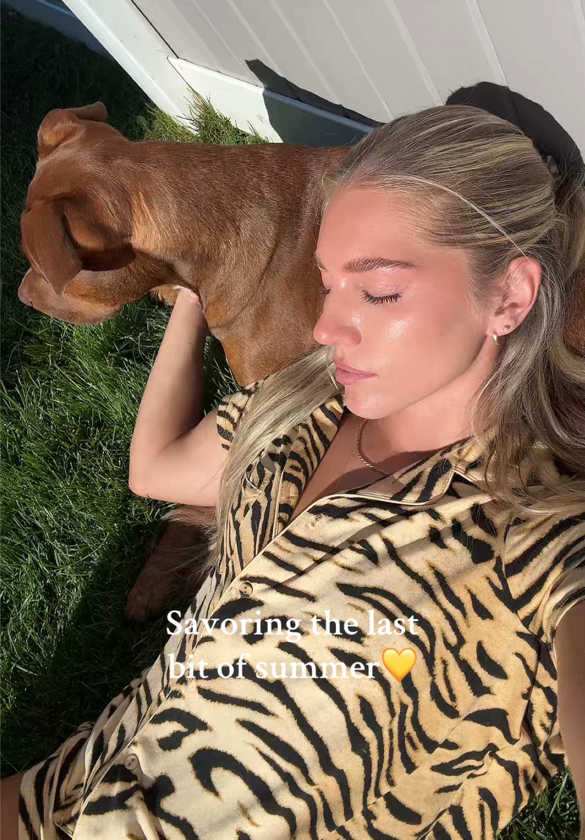 Everything is better with a dog