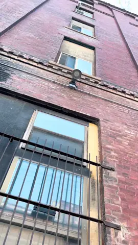 … this little guy will never forget this day and that’s why I enjoy what I do. 😌😮‍💨🕷️ #photographer #photoshoot #fyp #kansascity #missouri #historic #westbottoms #kcmo #birthdayphotoshoot #photography #businessowner #womanowned 