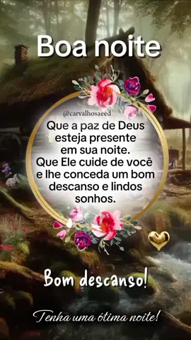 Boa noite. ✨️🌛💗 #boanoite #fypシ゚ #gratidãoadeus #deus_no_controle #boanoitee