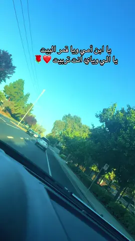 #منشن_اخوك #والله_ومحتاجك_يا_خي❤️✨ #viral #الاخوه #fyp 