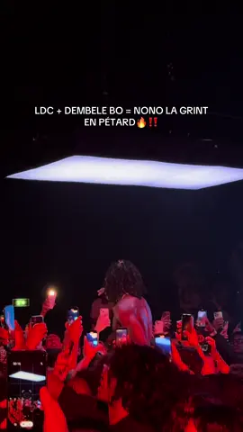 LE PUBLIC EN FEU🗣️                       #fyp #concerts #pourtoi #paris #rapfr @BLACK CAT🐈‍⬛ 