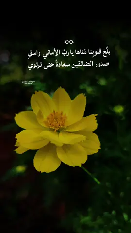 أحيانًا لا ترى لطفُ الله إلا بعدَ مرور الوقت فثق دائمًا أن الله ألطف مما تعتقد🤍 #بلال_دربالي #قران_كريم #اكسبلور #fyp #عبارات 