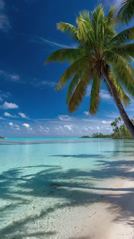 Immerse yourself in the magic of paradise landscapes where turquoise waves gently touch the white sandy shore and palm trees reach for the sky. The endless horizon blends with the deep blue ocean, creating a breathtaking atmosphere of peace and freedom. Every detail of this tropical dream — from the crystal-clear water to the hidden cliffs and lagoons — inspires relaxation, balance, and the feeling that the whole world is opening up before you. Perfect for meditation, calming the mind, and escaping from daily routine into the beauty of untouched nature.   Погрузитесь в магию райских пейзажей, где бирюзовые волны мягко касаются белоснежного песчаного берега, а пальмы тянутся к небу. Бескрайний горизонт сливается с глубоким синим океаном, создавая завораживающую атмосферу покоя и свободы. Каждая деталь этого тропического сна — от кристально чистой воды до скрытых скал и лагун — наполняет вдохновением, гармонией и ощущением, что перед вами открывается весь мир. Идеально для медитации, умиротворения и побега от повседневности в красоту нетронутой природы.   #OceanDreamDrop #ParadiseVibes #RelaxingNature #TropicalEscape #NatureSounds