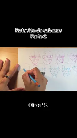 ROTACIÓN DE CABEZAS|parte2| Para rotar la cabeza al lado izquierdo suelo hacer lo mismo, incluso puedes ocupar esta estructura para personajes masculinos o femeninos✨ #tutorialdedibujos #aprendeadibujarfacil #tutorialdrawing #studiolobel #dibujotraficional 