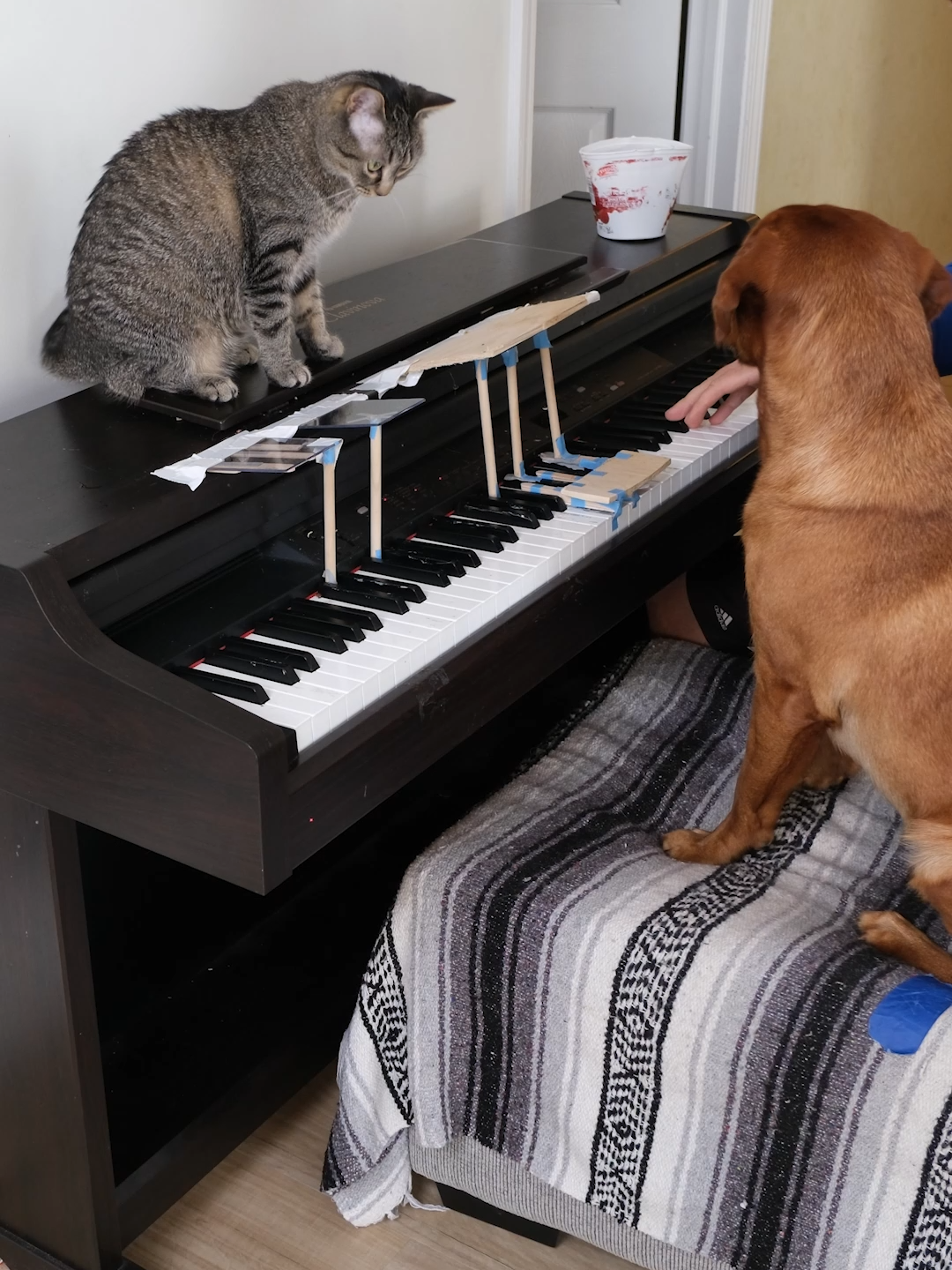 Ruby and Pearl Play Piano