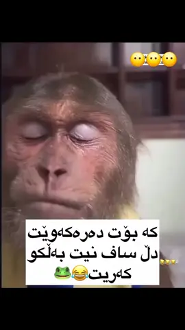 #فۆڵۆمان_بکەن_بۆ_بينينی_جوان_ترين_پۆست😇😍 #foryoupage #foryou 