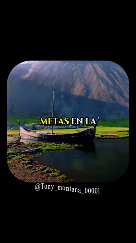 #frase #de #tonymontana #scarface #motivation 