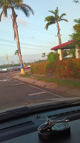 #viralvideo #viral #fyp 