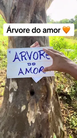 Árvore do amor 🧡  #natureza #natureza 
