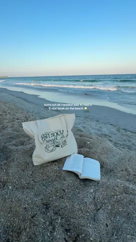 one golden summer by carley fortune was everything I needed and more #BookTok #bookish #bookmerch 