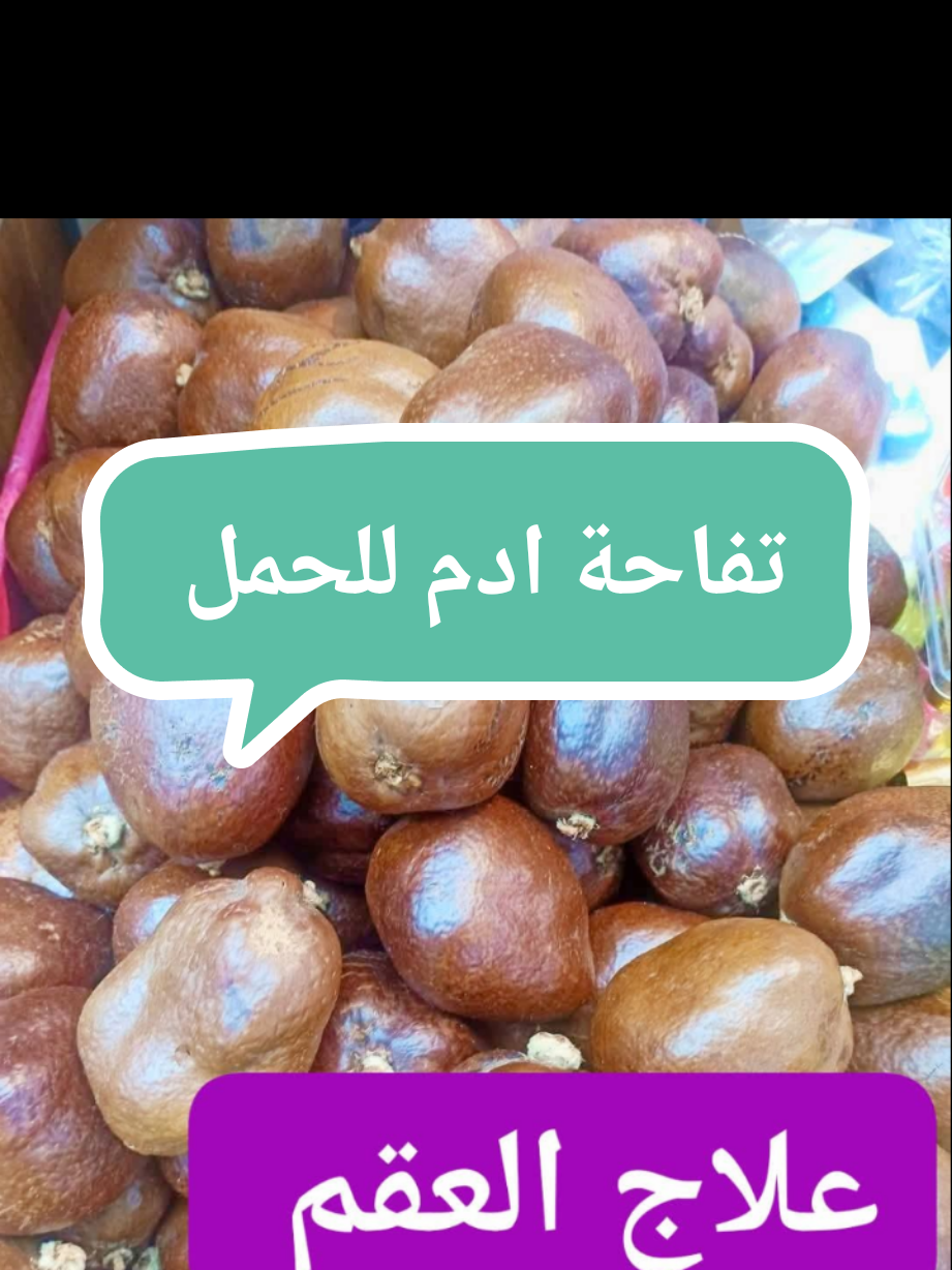 Réponse à @sy8998 - طريقة الاستعمال : تُخلط ملعقة صغيرة من مطحون تفاحة آدم مع كوب من الحليب الدافئ مع ملعقة عسل ويتم تناوله على الريق كل صباح،  أو تؤخذ ملعقة صغيرة من مطحون تفاحة آدم دون أي إضافات (تُسف)، ومن ثم يتم تناول ورائها أي مشروب ساخن (كالحليب أو اليانسون أو غير ذلك)، وذلك قبل النوم مباشرةً. #تفاحة_ادم #تفاحة🍎 #تفاحة💚🍏 #تفاحةادم #تاخر_حمل 