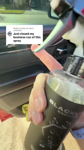 Replying to @shan_of_one Deep clean + fresh scent in one 🚗✨ Black Line Reset is safe on every surface, removes dirt fast, and leaves your ride smelling brand new. A must-have for every car care routine. #BlackLineReset #InteriorCleaning #CarDetailing #CarCare #tiktokshopcreatorpicks 