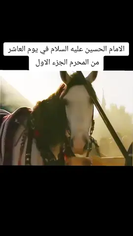 اشهد ان علياً ولي الله  #الشعب_الصيني_ماله_حل #العراق_لبنان_الخليج_مصر_الاردن_بحرين_قطر_البحرين_الاردن_عمان #الناصريه_البصره_بغداد_العماره_نجف_كربلاء_دهوك_حله_سماوة_الرمادي 