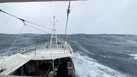 berangkat di tuntut melunasi hutang,pulang di tuntut membawa kesuksesan😞#fyp #longlinefishing🎌 #kulinelayan🇯🇵 