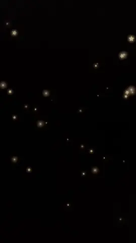 meu dia de luz 