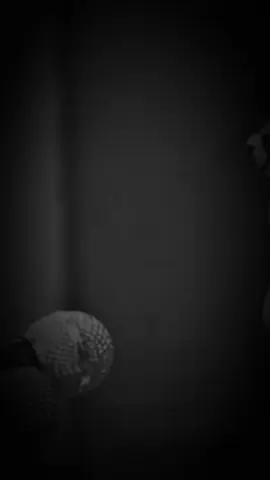 بعزم الله ماطخيت #شعراء_وذواقين_الشعر_الشعبي #مصمم_فيديوهات 