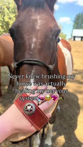 A little Nervous System regulation ASMR💖 Drop a 4 in the comments if you’re interested in a 4 hr Wild Heart Horse Experience!