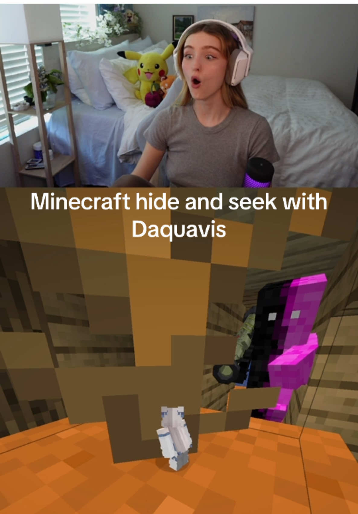 the ending is 10/10 @Daquavis #Minecraft #minecraftmemes 