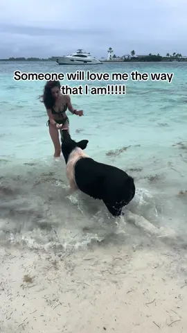 working at @pbratlanta (huntsville) taught me how to ride bulls as you can tell