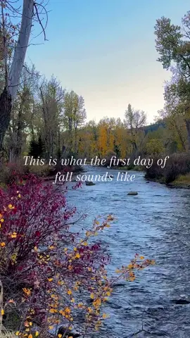 Because fall isn't just Pumpkin Spice Lattes and Taylor Swift songs.  Welcome to a true Montana fall.  #TheRanchAtRockCreek #FirstDayOfFall #FallFolliage #Montana #FallRetreat