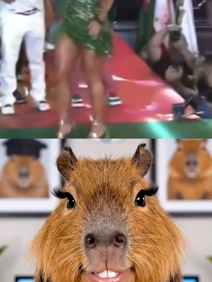 Alguém avisa? #virginia #carnaval #granderio #fy #sapucai #capy #mystery #scary #creepy #horror #fun #funny