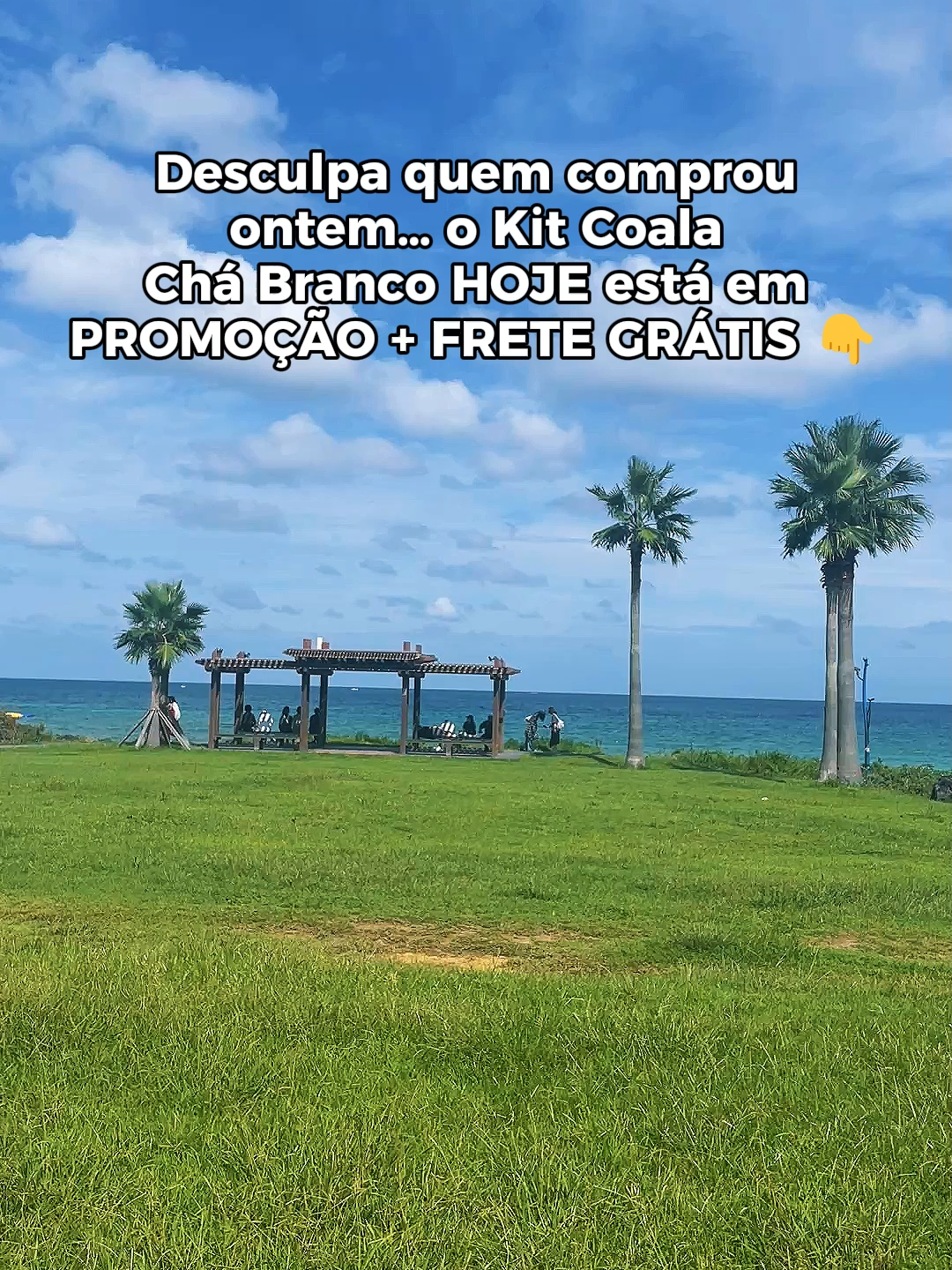 A fragrância suave que transforma qualquer ambiente em um espaço aconchegante e perfumado. Promoção relâmpago mas é só por tempo limitado.#tiktokshop #cheiroso #higiene