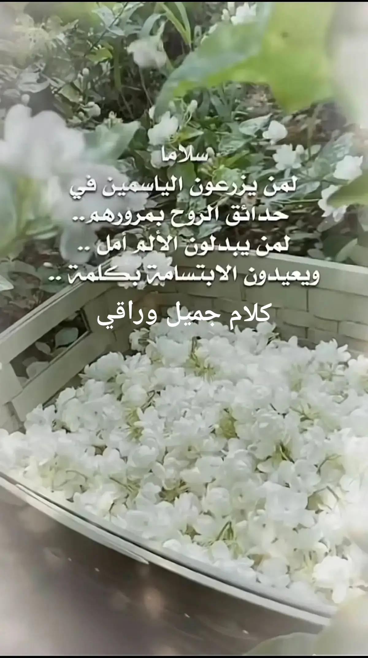 #عبارات_جميلة🦋💙 #حين_تزرع_السعادة_في_قلب_إنسان🥀🌷🌹🤲🏻💞 #كلام_جميل_جدا 